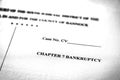 Legal Pleadings Court Papers Law Chapter 7 Bankruptcy