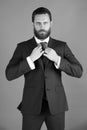 Legal services. man, bearded handsome businessman in formal jacket, tie Royalty Free Stock Photo
