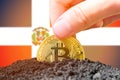 Legalization of bitcoins in the Dominican Republic. Planting a Bitcoin in the ground against the background of the flag