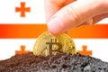 Legalization of bitcoins in Georgia. Planting Bitcoin in the ground on the background of the flag of Georgia. Georgia -