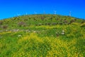 Legendary Golan Heights Royalty Free Stock Photo