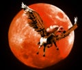 Pegasus under the blood Moon