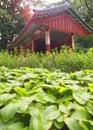 The Legendary Secret Garden of Changdeokgung