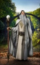 A legendary white wizard posing in front of mythical enchanted setting. Royalty Free Stock Photo