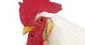 Leghorn Domestic Chicken, Portrait of Cockerel against White Background Royalty Free Stock Photo