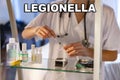 Legionella. Legionella bacteria Legionella pneumophila. Febrile illness, either of a mild nature and without pulmonary focus Royalty Free Stock Photo