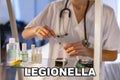 Legionella. Legionella bacteria Legionella pneumophila. Febrile illness, either of a mild nature and without pulmonary focus Royalty Free Stock Photo