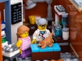 A Lego cat standing on an inspection table at a veterinary clinic with its owner standing nearby