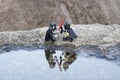 lego darth vader fighting batman with reflection on the pond.