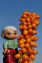 LEGO Duplo toy figure of elder lady with spectacles and grey hair standing next to dense cluster of orange Sea Buckthorn
