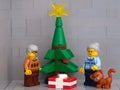 Lego grandfather, grandmother and cat minifigures standing near a Christmas tree that has a present under it