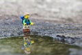 Lego hiker miniature with reflection on puddle.