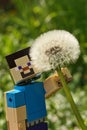 LEGO Minecraft figure of smiling Steve holding seedhead blowball of Dandelion plant Royalty Free Stock Photo