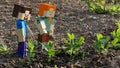 LEGO Minecraft figures of Steve and Alex checking fresh spring sprouts of pea.