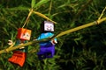 LEGO Minecraft figures of Steve and Alex main characters, climbing together on side branch of Phyllostachys bambo o plant