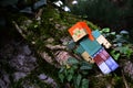 Lego Minecraft action figure of Alex relaxing on branch of moss covered broadleaf tree outgrowing with english ivy climbing plant.