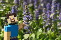 LEGO Minecraft large action figure of smiling Steve touching Blue Bugleweed plant, latin name Ajuga Reptans