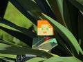 LEGO Minecraft large figure of Alex sitting relaxed under large spiky leaves of