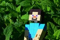 LEGO Minecraft large figure of Steve relaxing in fresh green herb leaves of Spearming Mentha Spicata and Lemon Balm