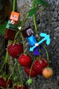 LEGO Minecraft small figures of Alex and Steve climbing down on stalk of Strawberry plant to fresh juicy red strawberry fruit.