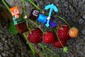 LEGO Minecraft small figures of Alex and Steve climbing down on stalk of Strawberry plant to fresh juicy red strawberry fruit.