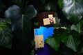 LEGO Minecraft Steve smiling action figure, hidden in dense foliage of English Ivy leaves, latin name Hedera Helix