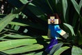 LEGO Minecraft Steve is walking on evergreen leaves of Yucca Plant Royalty Free Stock Photo