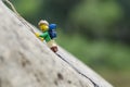 Lego minifigure hiker climbing rock mountain.