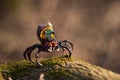 lego minifigure spaceman riding huge spider