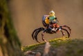 lego minifigure spaceman riding huge spider