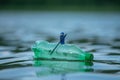 Lego minifigure swimming on plastic bottle