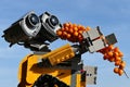 LEGO model of robot Wall-E from movie of the same name by Disney Pixar studios, holding dense cluster of orange Sea Buckthorn