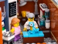 A Lego parrot standing on an inspection table at a veterinary clinic with its owner standing nearby