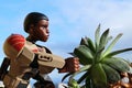 LEGO Star Wars large cation figure of rebel and ex-stormtrooper member Finn, examining thick leaves of Houseleek plant