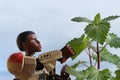 LEGO Star Wars large figure of ex-stormtrooper Finn examining fresh spring leaves of Catnip plan