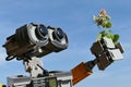 LEGO Wall-E from Disney Pixar movie of the same name, holding example of cat attractive plant Catnip