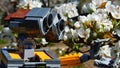 LEGO Wall-E robot model from Disney Pixar animated science fiction movie examining blossoming white spring flowers Royalty Free Stock Photo