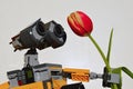 LEGO Wall-E Robot model from Disney Pixar movie is holding beautiful spring yellow to orange tulip flower in his left arm