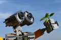 LEGO Wall-E robot from the movie of the same name by Disney Pixar studios, examining young sprout of basil plant