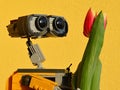LEGO Wall-E robot from Pixar animated movie examining real orange tulip flower, bright yellow wall in background.