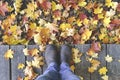 Legs on a background of autumn leaves. Men& x27;s feet in leather boots against the background of fallen yellow foliage in Royalty Free Stock Photo