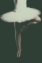 Legs of ballerina, Pointe shoes. ballet dancers, grace, flexibility, dancing.ballerina, pointe shoes,dances Royalty Free Stock Photo