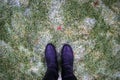 Legs in boots against the background of frozen lawn covered with ice with green grass Royalty Free Stock Photo