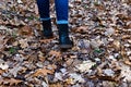 Legs in boots and blue jeans on a blurred background of fallen leaves Royalty Free Stock Photo