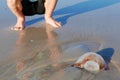 Legs of a boy crouching down to look at a jellyfish on the beach