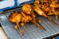 Legs and chicken wings cooked on the grill Royalty Free Stock Photo