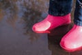 Legs of child in rainboots standing in puddle.Kids in fall. close-up of a baby girls legs with pink rubber boots during