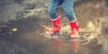 Legs of child in red rubber boots jumping in autumn puddles Royalty Free Stock Photo