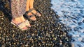 Legs of couple in sandals stand side by side on the pebbled seashore at sunset