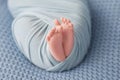 Legs, feet of a newborn baby in blue winding and on a blue background Royalty Free Stock Photo